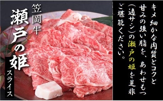 牛肉 B-08 瀬戸の姫（スライス）《45日以内に出荷予定(土日祝除く)》---B-08---