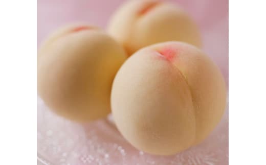 【2026年発送先行予約】清水白桃 約1.3kg 5玉 《2026年7月下旬-8月上旬頃出荷》---B-56e---