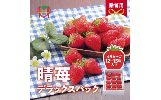 しあわせ届けるいちご農園HappyComeComeの晴苺(はれいちご)450ｇハレの日に晴苺(はれいちご)《12月中旬-3月下旬頃出荷》---B-90a---