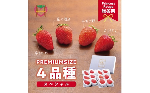 いちご しあわせ届けるいちご農園HappyComeComeのいちご4品種スペシャルセット《12月中旬-3月下旬頃出荷》---B-91a---
