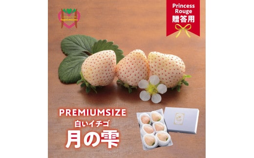 いちご しあわせ届けるいちご農園HappyComeComeの贈答用 白いちごー月のしずくーPREMIUM SIZE《12月中旬-3月下旬頃出荷》---B-92---