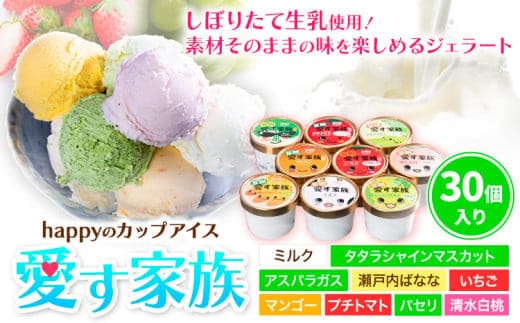 愛す家族 カップアイス 30個入り 選べるフレーバー 笠岡ジェラート 工房ハッピーのカップアイス ハッピー＆甲和株式会社 ジェラート アイス ミルク たたらシャインマスカット 清水白桃 いちご アスパラガス プチトマト 瀬戸内バナナ マンゴー パセリ 岡山県 笠岡市---C-05---