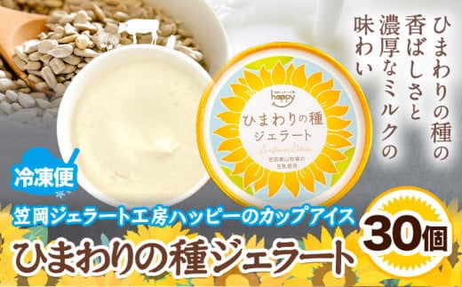 ひまわりの種ジェラート 30個セット 笠岡ジェラート工房ハッピーのカップアイス 《45日以内に出荷予定(土日祝除く)》ジェラート アイス アイスクリーム ミルク ヒマワリの種 デザート---H-13---