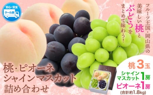 【2026年先行予約】桃 シャインマスカット ピオーネ 詰め合わせ 約1.8kg クール便 冷蔵便 桃 もも 葡萄 ブドウ ぶどう マスカット フルーツ セット 先行予約 晴れの国おかやま館 《《2026年8月下旬‐9月中旬頃出荷》 フルーツ 果物 果実 岡山県 笠岡市---H-24a---