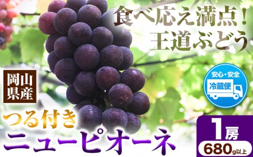 先行予約 岡山県産 ニューピオーネ （1房680g以上） 1房入り 種無し ぶどう 令和8年産先行受付《2026年9月中旬-10月下旬頃出荷》【配送不可地域あり】---H-33b---
