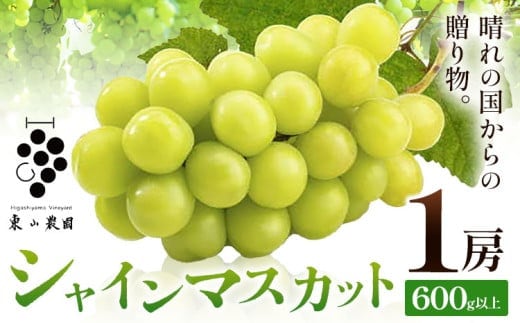 シャインマスカット【2026年発送先行予約】 晴れの国からの贈り物 シャインマスカット 600g 以上 1房 《2026年9月上旬-10月中旬頃出荷》 東山農園 ブドウ 葡萄 マスカット 果物 フルーツ ギフト 岡山県 笠岡市---H-47---