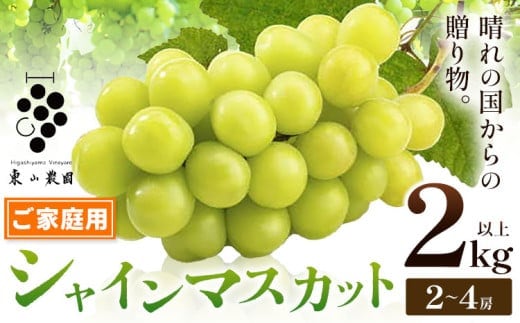 シャインマスカット【2026年発送先行予約】 ご家庭用 晴れの国からの贈り物 シャインマスカット 2kg 以上 2房 ～ 4房《2026年9月上旬-10月中旬頃出荷》 東山農園 ブドウ 葡萄 マスカット 果物 フルーツ ギフト 岡山県 笠岡市---H-48---