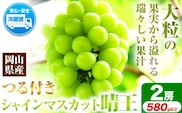 シャインマスカット　先行予約  岡山県産 シャインマスカット （ 晴王 ）（1房580g以上　2房入り） シャイン マスカット 種無し ぶどう フルーツ 果物 （令和8年産先行受付）《2026年9月上旬-10月下旬頃出荷》 【配送不可地域あり】---H-29b--