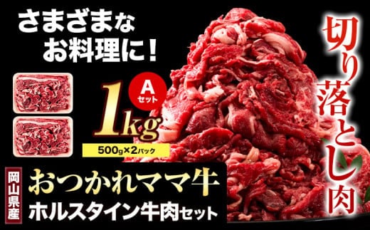 牛肉 肉 おつかれママ牛 ホルスタイン 牛肉セット ホルスタイン牛肉 切り落とし 500g×2 1kg 株式会社こはら《60日以内に出荷予定(土日祝除く)》岡山県産 岡山県 笠岡市 切り落とし肉 セット---K-23b---