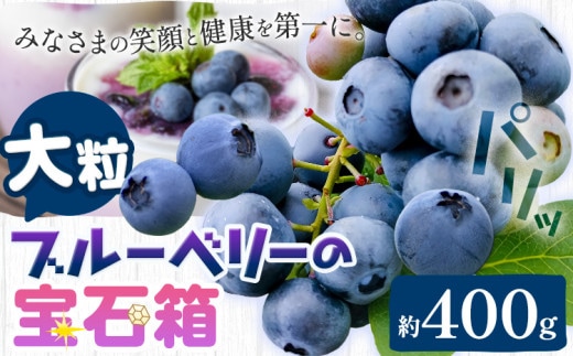 【2026年先行予約】ブルーベリー 大粒 計400g (100g×4パック) 大粒ブルーベリーの宝石箱 かさおか青空ファーム 《2026年6月上旬-8下旬頃出荷》 岡山県 笠岡市 送料無料 フルーツ 果物 岡山県産 国産 ブルーベリー お取り寄せ st-p---K-37---