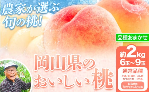 【先行予約】【7月中旬～8月上旬頃出荷】桃 通常品種 2kg もも 岡山 白鳳 紅清水 よし姫 なつおとめ 川中島白桃 岡山県 笠岡市 送料無料 果物 フルーツ お取り寄せ---N-10-t---