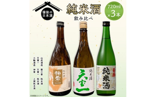 【びんご圏域連携】備後の日本酒 純米酒 飲み比べセット 株式会社齋藤商店《30日以内に出荷予定(土日祝除く)》酒 日本酒 さけ お酒---S-19a---