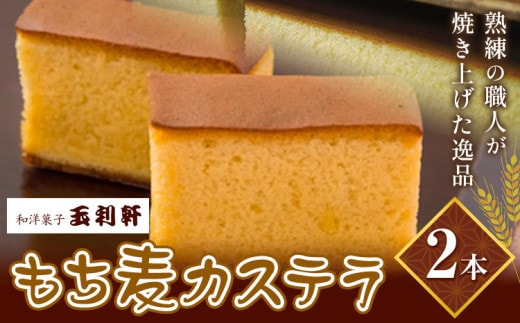 もち麦カステラ 株式会社玉利軒《45日以内に出荷予定(土日祝除く)》岡山県 笠岡市 カステラ もち麦 お土産 和菓子 手土産 送料無料 st-p---T-09---