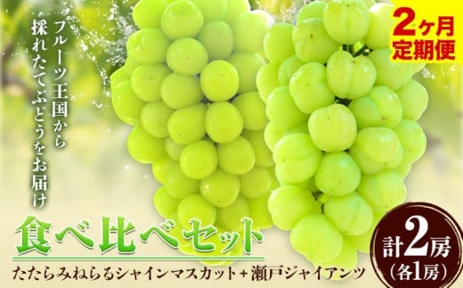 【先行予約】【2回定期便】食べ比べセット たたらみねらるシャインマスカット+瀬戸ジャイアンツ 各1房 約1.3kg《2026年9月上旬-10月下旬頃出荷予定》岡山県 笠岡市 マスカット ぶどう ブドウ 葡萄 フルーツ 果物 たたらみねらる 食べ比べ セット 定期便---Y-06---