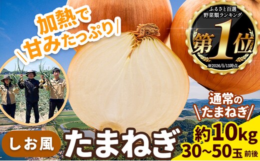 たまねぎ【先行予約】しお風たまねぎ 約10kg《6月上旬-6月末頃出荷》 玉ねぎ たまねぎ 野菜 青果物 岡山県 笠岡市 玉ねぎ 10kg 一万円以下 一万以下 10000円以下---kasaoka_zsy_144_10---