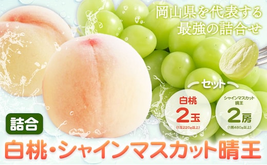 桃 ぶどう 詰合 岡山白桃 2玉(1玉220g以上) シャインマスカット 晴王 2房(1房480g以上) 化粧箱入り 株式会社山博《2026年7月下旬-8月中旬頃出荷》岡山県 笠岡市 フルーツ 果物 葡萄 マスカット もも お取り寄せ【配送不可地域あり】---Y-33a---