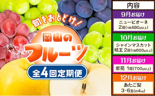 【4回定期便】ぶどう 梨 岡山のフルーツ定期便 4回コース 岡山県産 シャインマスカット 晴王 ニューピオーネ 紫苑 あたご 株式会社山博《2026年9月上旬-12月末頃出荷》岡山県 笠岡市 フルーツ 果物 ぶどう あたご梨 マスカット お取り寄せ【配送不可地域あり】---Y-41a---