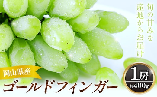 【2027年発送先行予約】岡山県産 ゴールドフィンガー 1房 約400g 晴れの国おかやま館 (つむぐ株式会社) 《2027年8月下旬-9月上旬頃出荷》岡山県 笠岡市 フルーツ 果物 果実 ぶどう 葡萄 ブドウ 希少品種【配送不可地域：離島】---H-106---