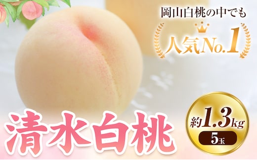 【2027年発送先行予約】清水白桃 先行予約 清水白桃 約1.3kg（5玉） 《2027年7月下旬-8月上旬頃出荷》 桃 清水白桃 白桃 晴れの国おかやま館 フルーツ 果物 果実 岡山県 笠岡市---B-56f---