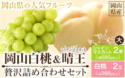 【先行予約】岡山白桃 & シャインマスカット（晴王）岡山白桃2玉（ロイヤル260g以上）シャインマスカット2房（580g以上）有限会社ホーティカルチャー神島《7月上旬-8月中旬頃出荷》岡山県 笠岡市 桃 白桃 もも 岡山白桃 シャインマスカット マスカット ぶどう 晴王【配送不可地域あり】---H-81---