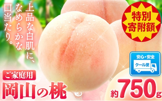 【豊作につき特別寄附額】桃 岡山の桃 約750g 《2026年6月下旬-9月上旬頃出荷》 ご家庭用 訳あり 白桃 岡山 旬 モモ もも 先行予約 送料無料 果物 岡山県 笠岡市 清水白桃 白鳳 白麗 クール便---kasaoka_zsy_411_75---