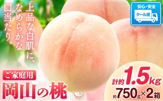 【豊作につき特別寄附額】桃 岡山の桃 計約1.5kg(約750g×2箱)《2026年6月下旬-9月上旬頃出荷》 ご家庭用 訳あり 白桃 岡山県 笠岡市 モモ もも 先行予約 送料無料 清水白桃 白鳳 白麗 ---kasaoka_zsy_415_7575---