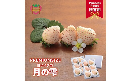 いちご しあわせ届けるいちご農園HappyComeComeの贈答用 白いちごー月のしずくーPREMIUM SIZE《12月中旬-3月下旬頃出荷》---B-92---