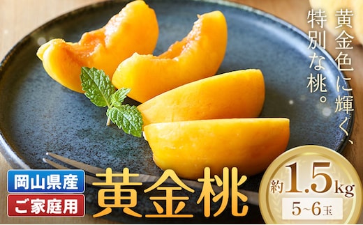 【2027年発送先行予約】ご家庭用 岡山県産 黄金桃 約1.5kg 5～6玉 晴れの国おかやま館 (つむぐ株式会社) 《2027年8月下旬-9月上旬頃出荷》岡山県 笠岡市 フルーツ 果物 果実 訳あり 桃 黄桃 もも モモ【配送不可地域：離島】---H-108---
