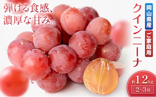 【2027年先行予約】ご家庭用 岡山県産 クインニーナ 約1.2kg 2～3房 晴れの国おかやま館 (つむぐ株式会社) 《2027年9月中旬-9月下旬頃出荷》岡山県 笠岡市 フルーツ 果物 果実 訳あり ぶどう 赤ぶどう 葡萄 ブドウ【配送不可地域：離島】---H-107---