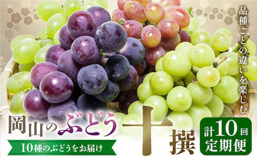 【2026年発送先行予約】ぶどう 4ヶ月 計10回 定期便 岡山 の ぶどう 十撰 10種 各700g 計7kg 晴れの国おかやま館(漂流岡山)《2026年8月上旬-11月下旬頃出荷》岡山県 笠岡市 ぶどう マスカット 果物 フルーツ デザート 送料無料 【配送不可地域あり】（離島）---H-55---