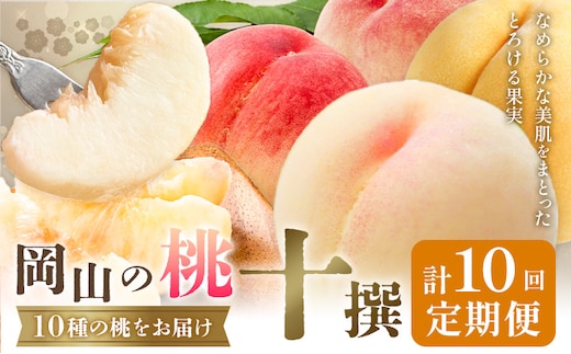 【2026年発送先行予約】桃 3ヶ月 計10回 定期便 岡山 の 桃 十撰 10種 各1kg 計10kg 晴れの国おかやま館(漂流岡山)《2026年7月中旬-9月下旬頃出荷》岡山県 笠岡市 桃 もも 果物 フルーツ デザート 送料無料 【配送不可地域あり】（離島）---H-53---