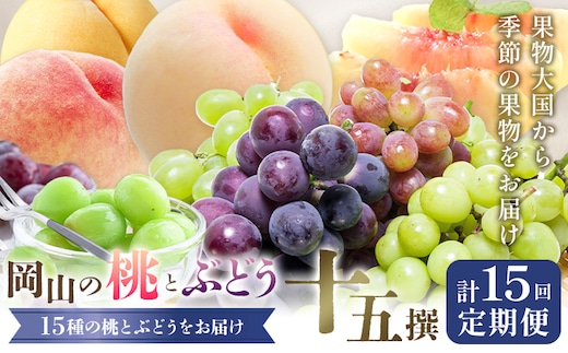 【2026年発送先行予約】 桃 ぶどう 6ヶ月 計15回 定期便 岡山 の 桃 と ぶどう 十5撰 10種 計12.9kg 晴れの国おかやま館(漂流岡山)《2026年7月中旬-12月中旬頃出荷》岡山県 笠岡市 もも 桃 ぶどう マスカット 果物 フルーツ 【配送不可地域あり】（離島）---H-56---