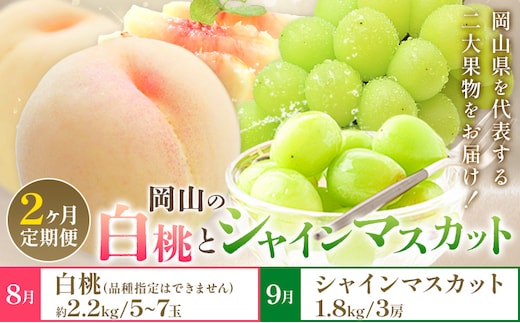 【2026年発送先行予約】ぶどう 白桃 2ヶ月 定期便 岡山 の 白桃 と シャインマスカット 計4kg 晴れの国おかやま館(漂流岡山)《2026年8月下旬-9月下旬頃出荷》岡山県 笠岡市 桃 もも マスカット シャインマスカット 果物【配送不可地域あり】（離島）---H-52---