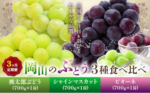 【2026年発送先行予約】ぶどう 3ヶ月 定期便 岡山 の ぶどう 3種 食べ比べ 各700g 計2.1kg 晴れの国おかやま館(漂流岡山)《2026年8月中旬-10月中旬頃出荷》岡山県 笠岡市 桃太郎ぶどう シャインマスカット ピオーネ 果物 フルーツ 送料無料【配送不可地域あり】（離島）---H-50---