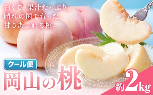 桃 岡山の桃 約2kg《6月下旬-9月上旬頃発送》岡山県 笠岡市 白桃 岡山 はくとう スイーツ フルーツ 果物 デザート 旬 モモ もも 送料無料 果物 清水白桃 白鳳 白麗 クール便---kasaoka_zsy_320_20m---