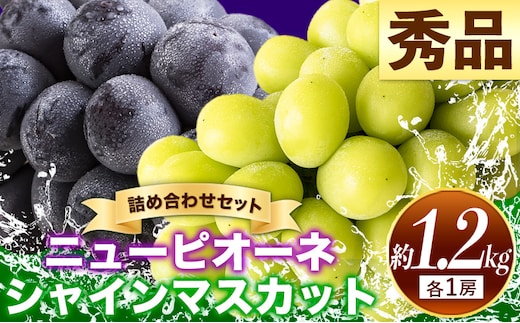 岡山県産 ニューピオーネ シャインマスカット ぶどう詰め合わせ 約1.2kg 2房 葡萄 果物 訳あり 優品 厳選出荷 スイーツ フルーツ デザート 岡山県 笠岡市《9月上旬～10月下旬頃に出荷予定(土日祝除く)》数量限定 種なしぶどう---kasaoka_zsy_38_12---