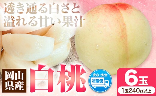 先行受付 岡山県産 白桃 1玉 240g以上 6玉入り ロイヤル 《7月中旬-8月下旬頃出荷》 【配送不可地域あり】---H-65---