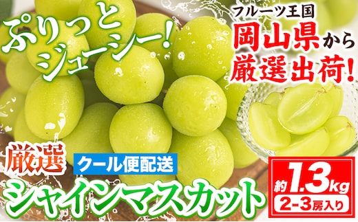 【2026年発送先行予約】シャインマスカット (約1.3kg 2-3房) 《2026年9月上旬-11月中旬頃出荷》ぶどう ブドウ 葡萄 マスカット 果物 フルーツ ギフト 岡山県 笠岡市 フルーツ マスカット---kasaoka_zsy_221_13---