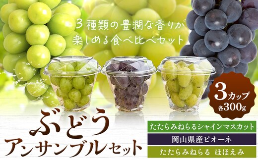 【先行予約】ぶどう 食べ比べ たたらみねらる シャインマスカット ほほえみ ピオーネ ぶどうアンサンブルセット 3カップ 各300g Ｙ＆Ｇ．ディストリビューター株式会社《2026年8月中旬-10月上旬頃出荷》岡山県 笠岡市 果物 フルーツ ブドウ お取り寄せ---Y-46---