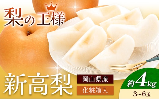 梨 岡山県産 新高梨 約4kg 3~6玉 株式会社山博《2026年9月下旬-11月上旬頃出荷》新高 フルーツ 化粧箱入り 岡山県 笠岡市 送料無料---Y-36a---