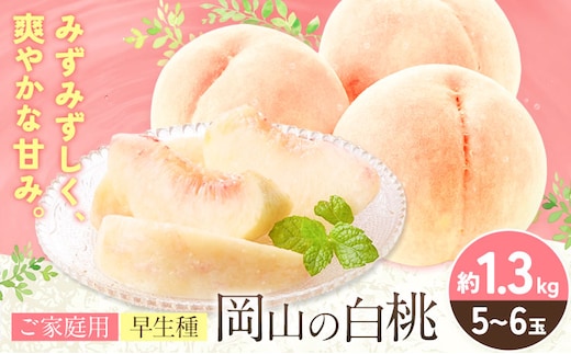 【2027年発送先行予約】ご家庭用 岡山の白桃（ 早生種 ）約1.3kg 5～6玉 《2027年6月下旬-7月中旬頃出荷》 晴れの国おかやま館 (つむぐ株式会社) フルーツ 果物 果実 桃 白桃 岡山県 笠岡市【配送不可地域：離島】---H-101---