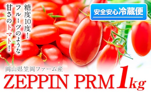 ミニトマト A-183a ミニトマト フルーツ 感覚 高糖度 ZEPPIN PRM(プレミアム) 1kg 箱 《120日以内に出荷予定(土日祝除く)》---A-183a---
