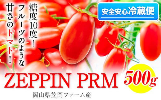 高糖度トマト ZEPPIN PRM(プレミアム) 500g 株式会社ジェイ・イー・ティ・アグリ《120日以内に出荷予定(土日祝除く)》甘い トマト フルーツトマト ミニトマト 糖度10以上 野菜 新鮮 完熟 産地直送 甘味 うまみ 食感 ---A-187a---