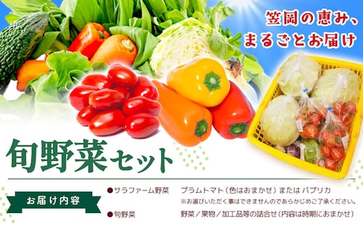 サラファームの品とふるさとフレッシュ便 旬野菜セット 野菜 果物 プラムトマト パプリカ 《30日以内に出荷予定(土日祝を除く)》 笠岡アグリセンター 野菜 岡山県 笠岡市---H-60---