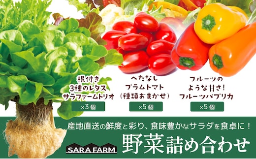 サラ詰め合わせセット 野菜13個 サラファームトリオ 3個 プラムトマト 5個 フルーツパプリカ 5個 野菜 レタス 3種のレタス トマト パプリカ 《30日以内に出荷予定(土日祝を除く)》 笠岡アグリセンター 野菜 岡山県 笠岡市---H-59---