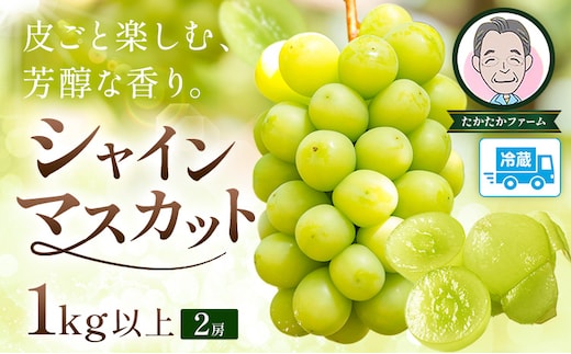 ぶどう シャインマスカット マスカット 2房 1kg 《9月上旬-9月下旬頃出荷》 たかたかファーム ブドウ 葡萄 マスカット 果物 フルーツ ギフト 岡山県 笠岡市---T-32---