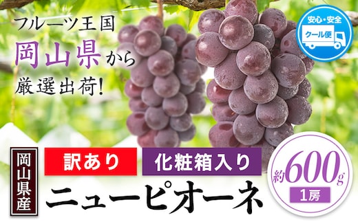 訳あり ニューピオーネ 約600g(1房) 《8月下旬-10月下旬頃出荷(土日祝除く)》岡山県 笠岡市 葡萄 果物 訳あり 優品 厳選出荷 スイーツ フルーツ デザート 数量限定 2026---kasaoka_zsy_250_06---