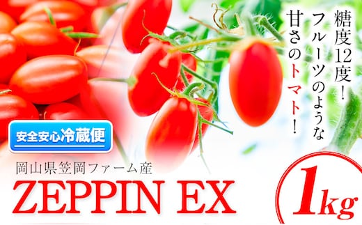ZEPPIN EX(エクセレント)1kg 平均糖度12度 甘い フルーツトマト《120日以内に出荷予定(土日祝除く)》---C-39a---