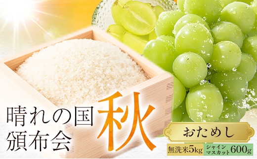 晴れの国頒布会 冬 おためし 無洗米 5kg 梨 1.8kg《ページ内記載の時期に発送》岡山県 笠岡市 フルーツ 旬 果物 ナシ コメ お取り寄せ---kasaoka_zsytei_370_o1---