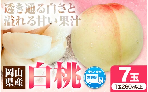 先行受付 岡山県産 白桃 1玉 260g以上 7玉入り ロイヤル 《7月中旬-8月下旬頃出荷》 【配送不可地域あり】---H-64---